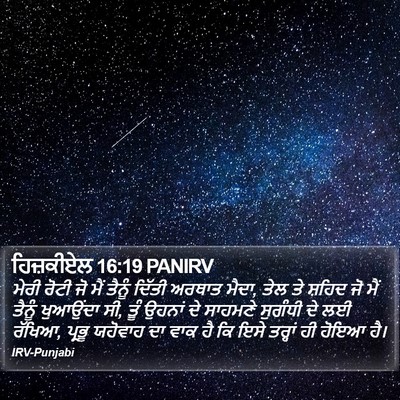 ਹਿਜ਼ਕੀਏਲ 16:19 PANIRV Bible Verse Image