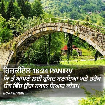 ਹਿਜ਼ਕੀਏਲ 16:24 PANIRV Bible Verse Image