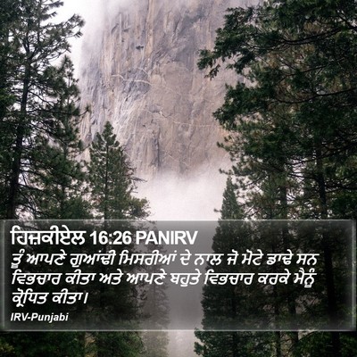 ਹਿਜ਼ਕੀਏਲ 16:26 PANIRV Bible Verse Image
