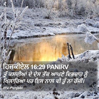 ਹਿਜ਼ਕੀਏਲ 16:29 PANIRV Bible Verse Image