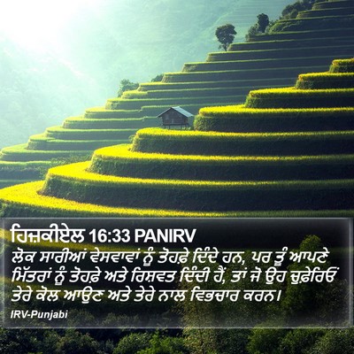 ਹਿਜ਼ਕੀਏਲ 16:33 PANIRV Bible Verse Image