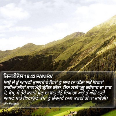 ਹਿਜ਼ਕੀਏਲ 16:43 PANIRV Bible Verse Image