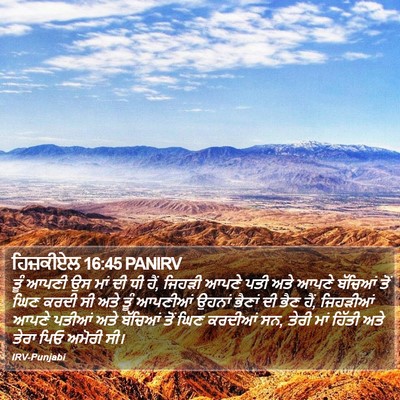ਹਿਜ਼ਕੀਏਲ 16:45 PANIRV Bible Verse Image