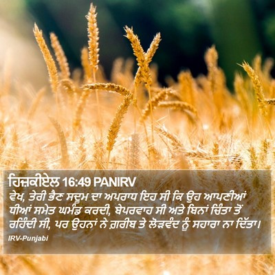 ਹਿਜ਼ਕੀਏਲ 16:49 PANIRV Bible Verse Image