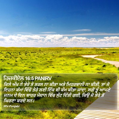 ਹਿਜ਼ਕੀਏਲ 16:5 PANIRV Bible Verse Image