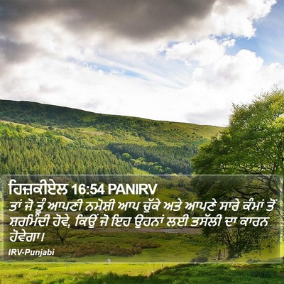 ਹਿਜ਼ਕੀਏਲ 16:54 PANIRV Bible Verse Image