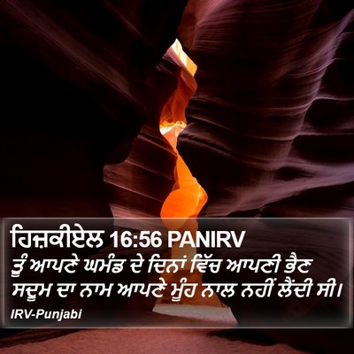 ਹਿਜ਼ਕੀਏਲ 16:56 PANIRV Bible Verse Image