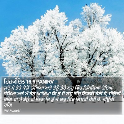 ਹਿਜ਼ਕੀਏਲ 16:6 PANIRV Bible Verse Image