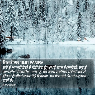 ਹਿਜ਼ਕੀਏਲ 16:61 PANIRV Bible Verse Image
