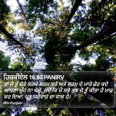 ਹਿਜ਼ਕੀਏਲ 16:63 PANIRV Bible Verse Image