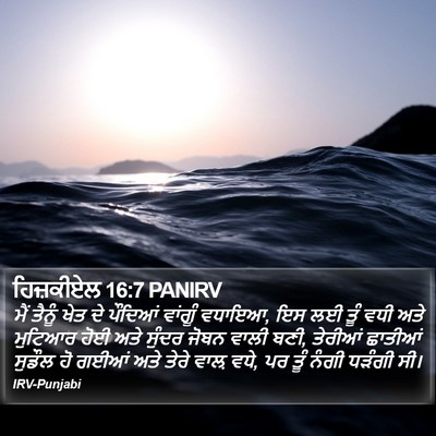 ਹਿਜ਼ਕੀਏਲ 16:7 PANIRV Bible Verse Image