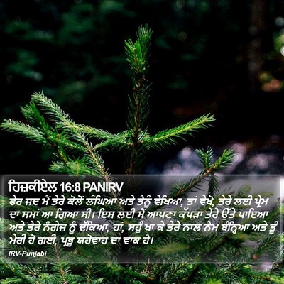 ਹਿਜ਼ਕੀਏਲ 16:8 PANIRV Bible Verse Image
