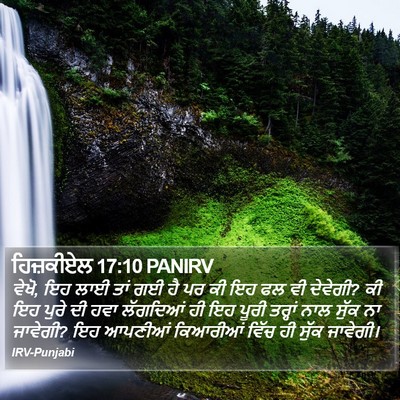 ਹਿਜ਼ਕੀਏਲ 17:10 PANIRV Bible Verse Image
