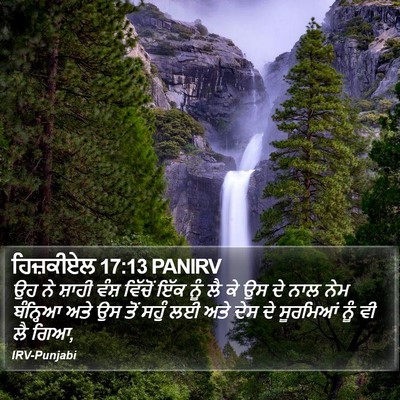 ਹਿਜ਼ਕੀਏਲ 17:13 PANIRV Bible Verse Image