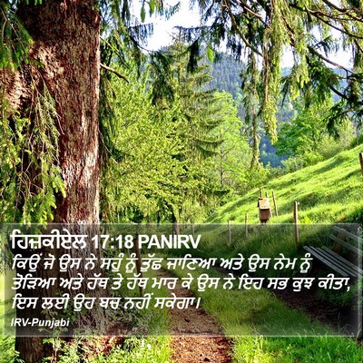 ਹਿਜ਼ਕੀਏਲ 17:18 PANIRV Bible Verse Image