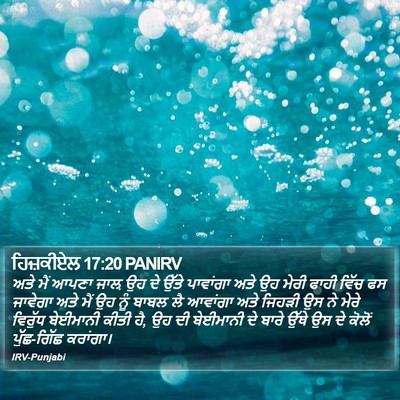 ਹਿਜ਼ਕੀਏਲ 17:20 PANIRV Bible Verse Image