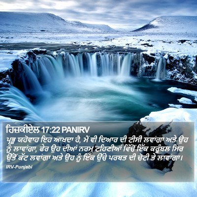 ਹਿਜ਼ਕੀਏਲ 17:22 PANIRV Bible Verse Image