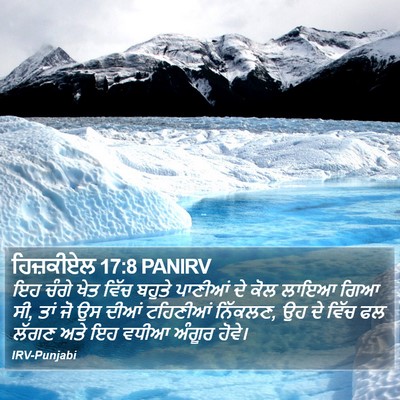 ਹਿਜ਼ਕੀਏਲ 17:8 PANIRV Bible Verse Image