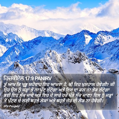 ਹਿਜ਼ਕੀਏਲ 17:9 PANIRV Bible Verse Image