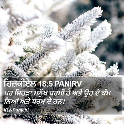 ਹਿਜ਼ਕੀਏਲ 18:5 PANIRV Bible Verse Image