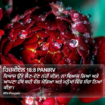ਹਿਜ਼ਕੀਏਲ 18:8 PANIRV Bible Verse Image