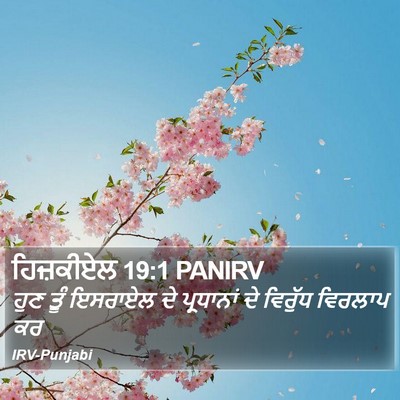 ਹਿਜ਼ਕੀਏਲ 19:1 PANIRV Bible Verse Image