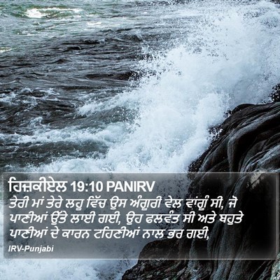 ਹਿਜ਼ਕੀਏਲ 19:10 PANIRV Bible Verse Image