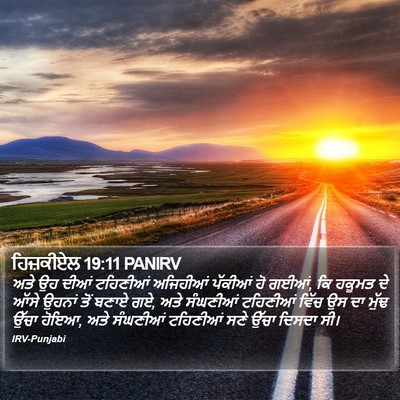 ਹਿਜ਼ਕੀਏਲ 19:11 PANIRV Bible Verse Image