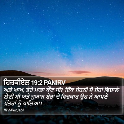 ਹਿਜ਼ਕੀਏਲ 19:2 PANIRV Bible Verse Image