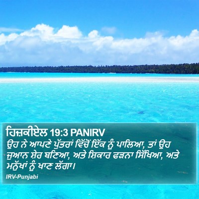 ਹਿਜ਼ਕੀਏਲ 19:3 PANIRV Bible Verse Image