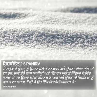 ਹਿਜ਼ਕੀਏਲ 2:6 PANIRV Bible Verse Image