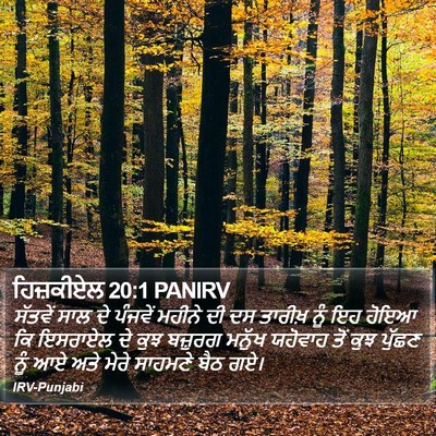 ਹਿਜ਼ਕੀਏਲ 20:1 PANIRV Bible Verse Image