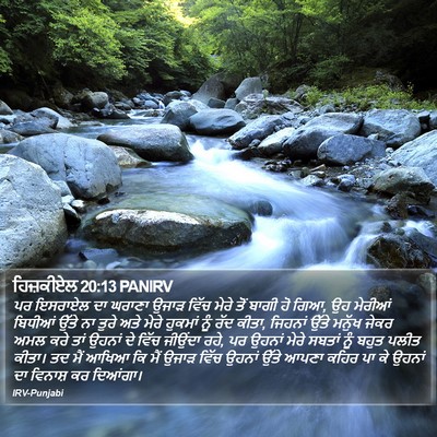 ਹਿਜ਼ਕੀਏਲ 20:13 PANIRV Bible Verse Image