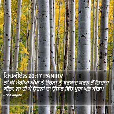 ਹਿਜ਼ਕੀਏਲ 20:17 PANIRV Bible Verse Image