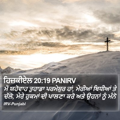 ਹਿਜ਼ਕੀਏਲ 20:19 PANIRV Bible Verse Image