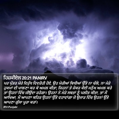 ਹਿਜ਼ਕੀਏਲ 20:21 PANIRV Bible Verse Image