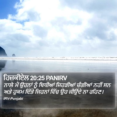 ਹਿਜ਼ਕੀਏਲ 20:25 PANIRV Bible Verse Image