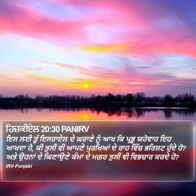 ਹਿਜ਼ਕੀਏਲ 20:30 PANIRV Bible Verse Image