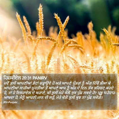 ਹਿਜ਼ਕੀਏਲ 20:31 PANIRV Bible Verse Image