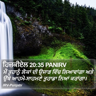 ਹਿਜ਼ਕੀਏਲ 20:35 PANIRV Bible Verse Image