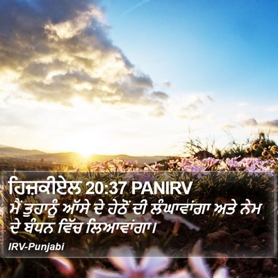 ਹਿਜ਼ਕੀਏਲ 20:37 PANIRV Bible Verse Image