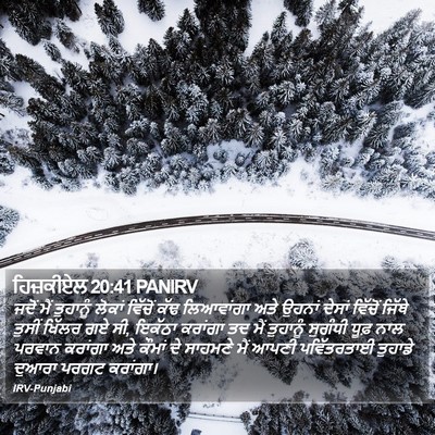 ਹਿਜ਼ਕੀਏਲ 20:41 PANIRV Bible Verse Image