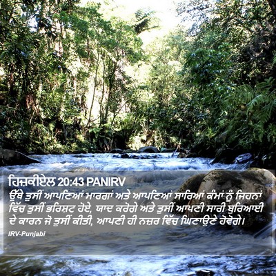 ਹਿਜ਼ਕੀਏਲ 20:43 PANIRV Bible Verse Image
