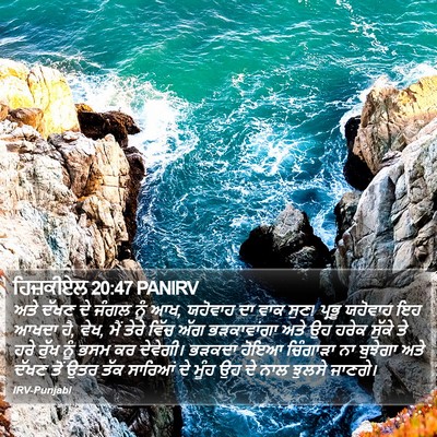 ਹਿਜ਼ਕੀਏਲ 20:47 PANIRV Bible Verse Image
