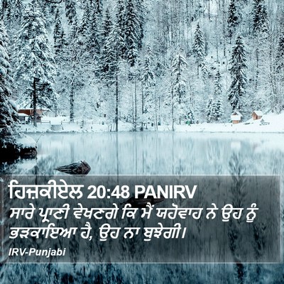 ਹਿਜ਼ਕੀਏਲ 20:48 PANIRV Bible Verse Image