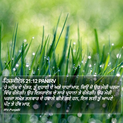 ਹਿਜ਼ਕੀਏਲ 21:12 PANIRV Bible Verse Image