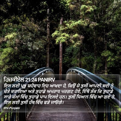ਹਿਜ਼ਕੀਏਲ 21:24 PANIRV Bible Verse Image