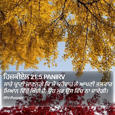 ਹਿਜ਼ਕੀਏਲ 21:5 PANIRV Bible Verse Image