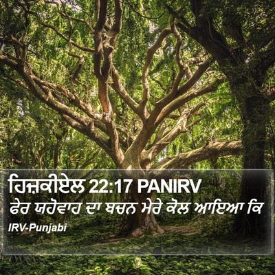 ਹਿਜ਼ਕੀਏਲ 22:17 PANIRV Bible Verse Image