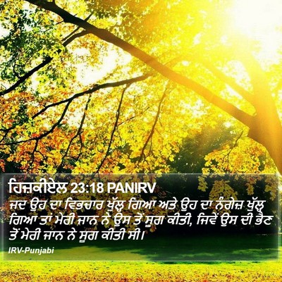 ਹਿਜ਼ਕੀਏਲ 23:18 PANIRV Bible Verse Image